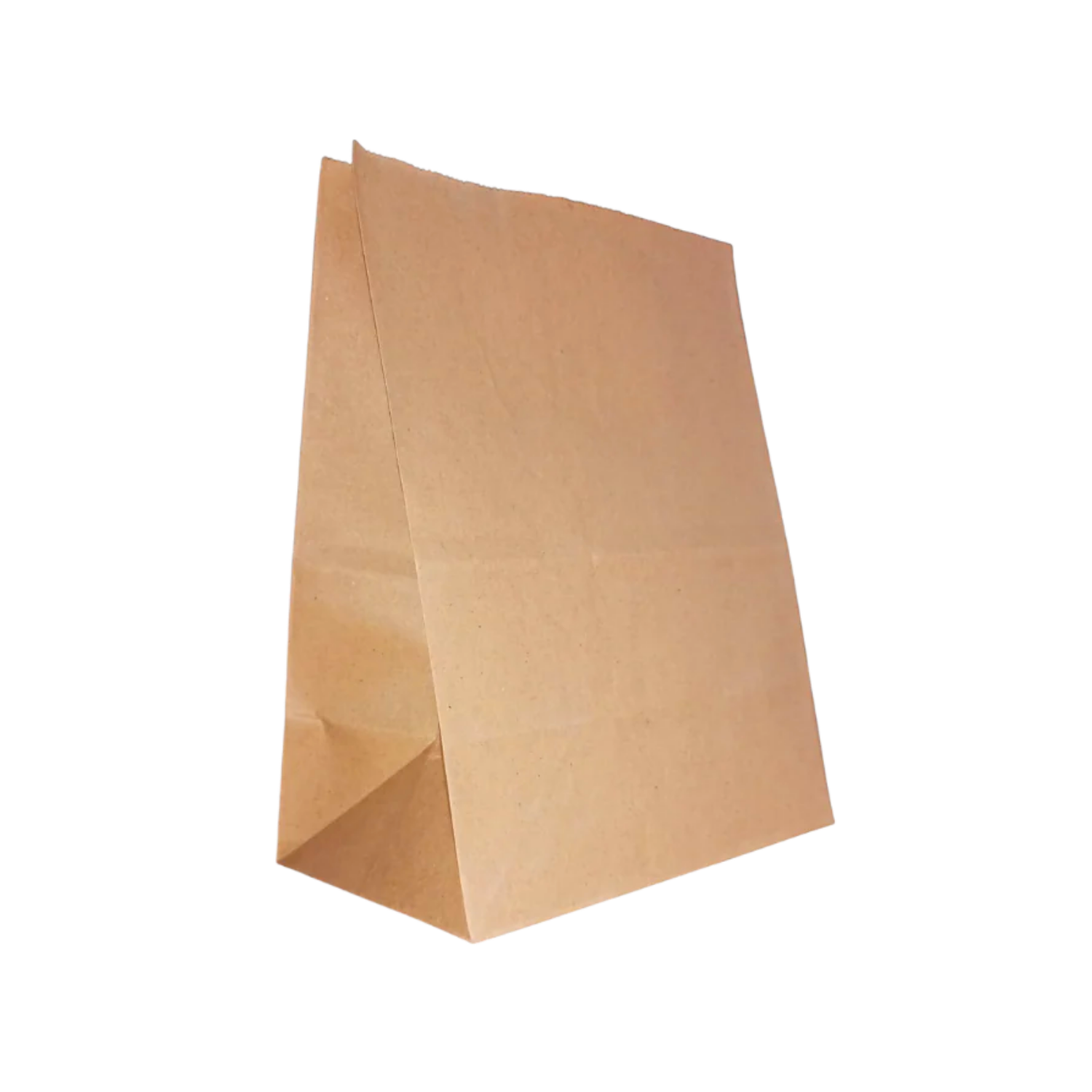 Bolsa Kraft Domicilio Ref 2