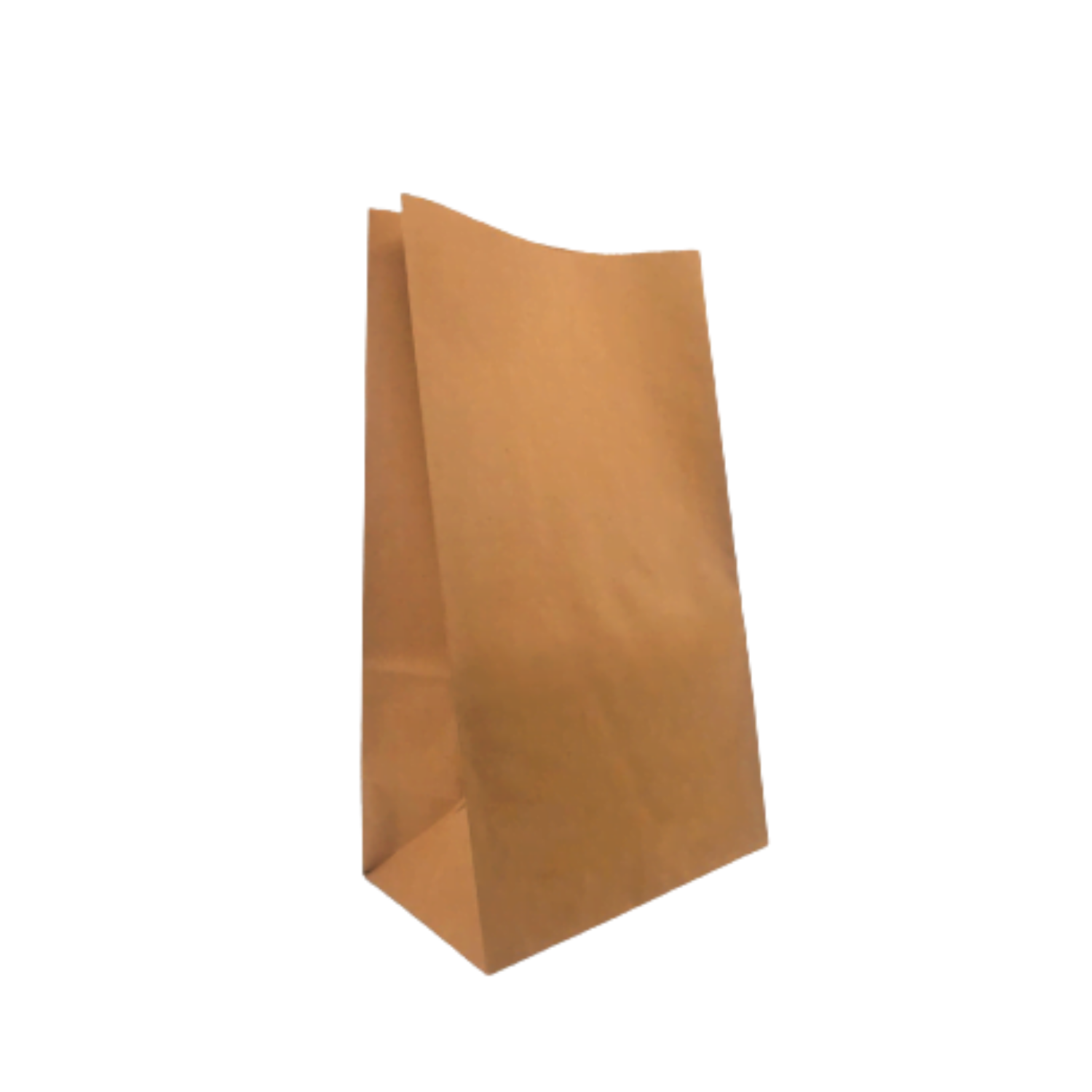 Bolsa Kraft Domicilio Ref 1