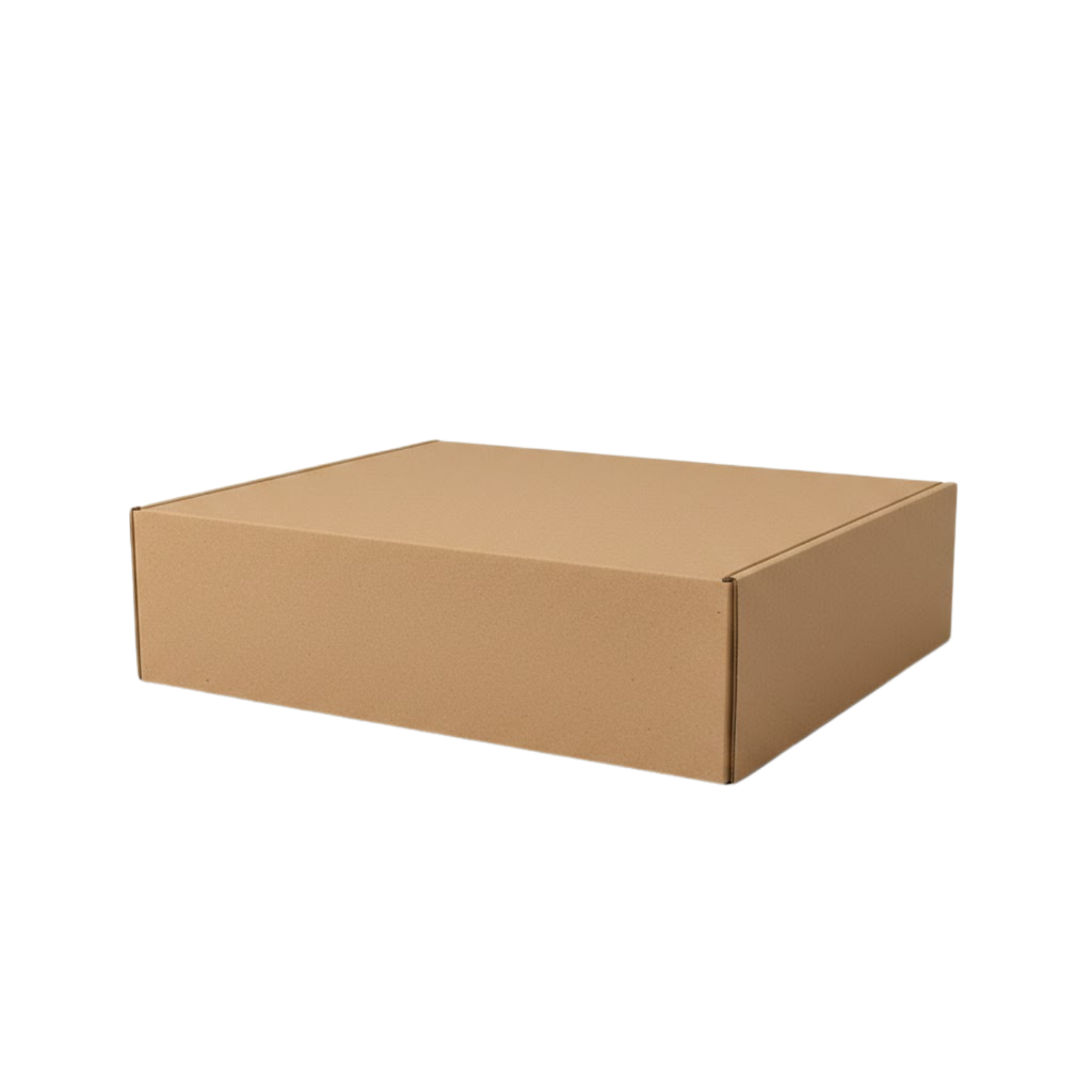 Caja D33 Hermética Sin Impresión